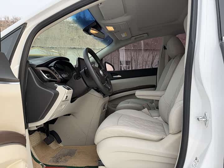 Фото 7 - Buick GL8 ES