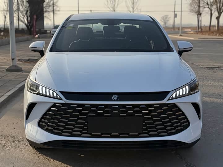 Фото 3 - BYD Qin Plus