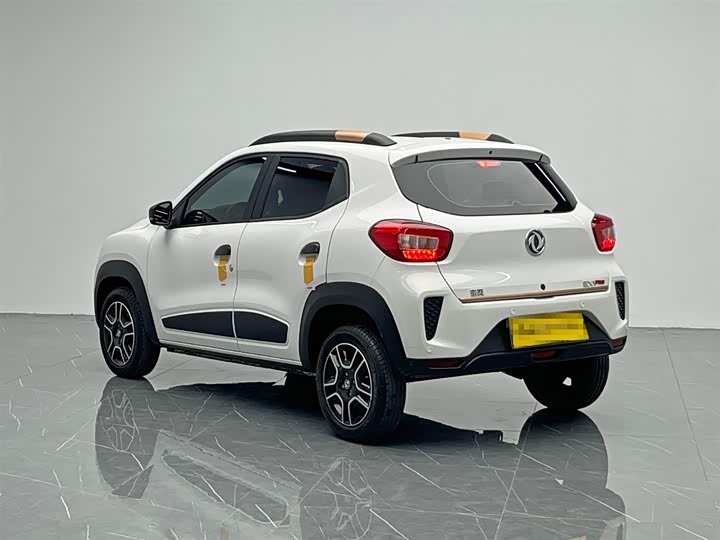 Фото 4 - Dongfeng Nammi Nano EX1 Pro