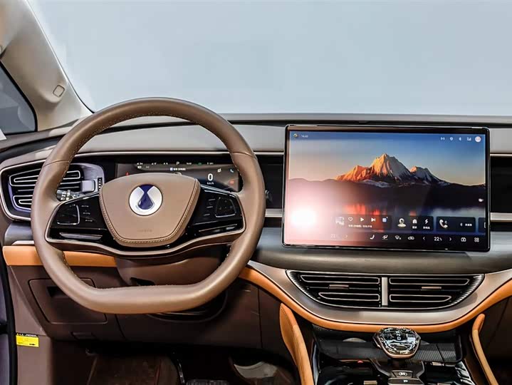 Фото 3 - Denza D9