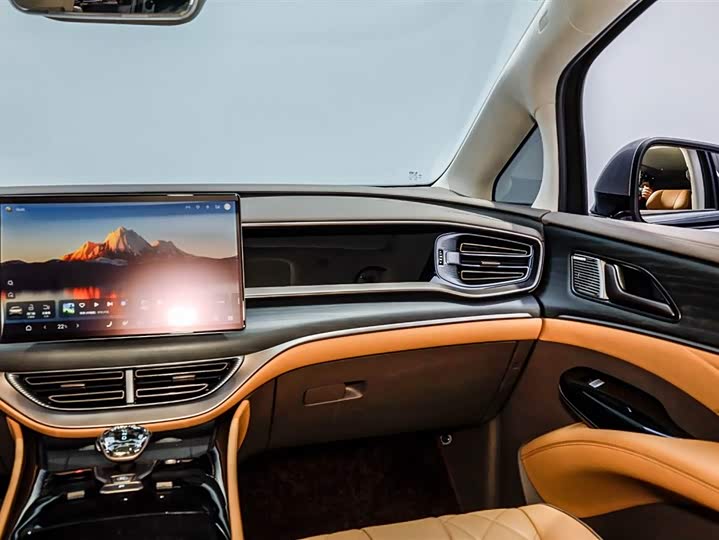 Фото 4 - Denza D9