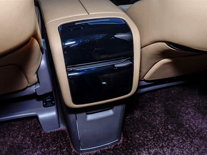 Фото 5 - Denza D9