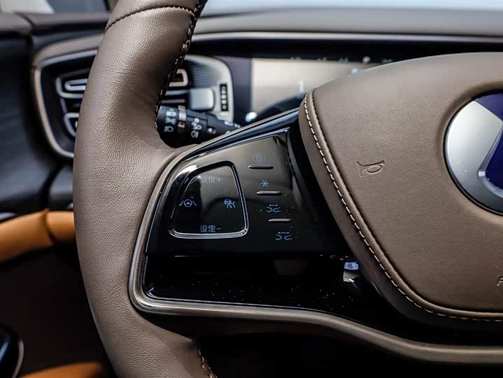 Фото 8 - Denza D9