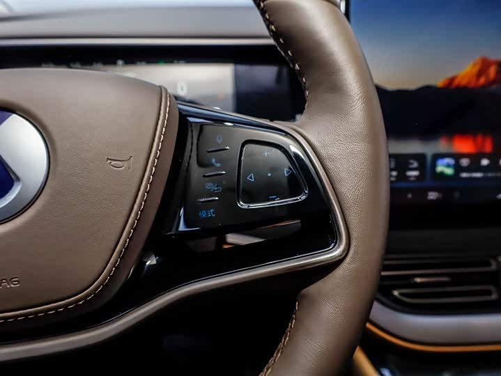 Фото 9 - Denza D9