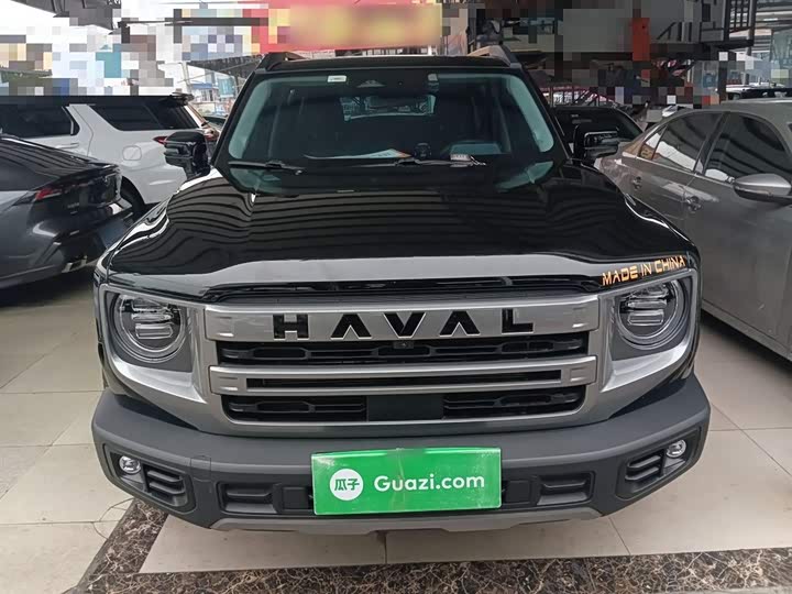 Фото 3 - Haval Dargo