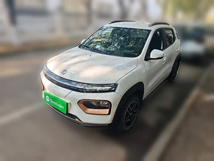 Фото 2 - Dongfeng Nammi Nano EX1