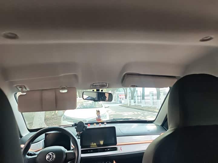 Фото 9 - Dongfeng Nammi Nano EX1