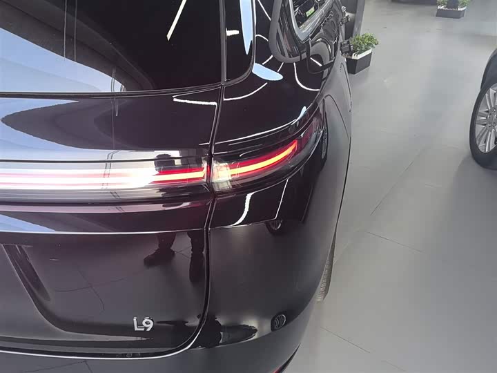 Фото 8 - LiXiang L8