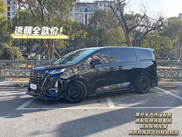 Фото 1 - Denza D9