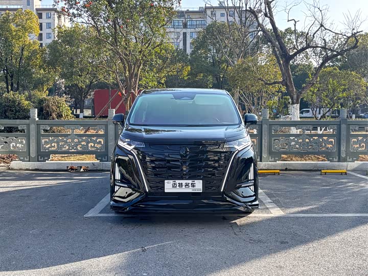 Фото 2 - Denza D9