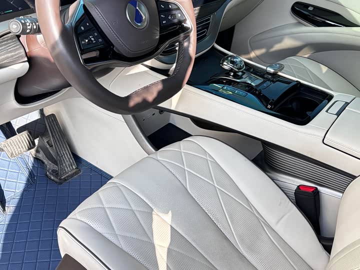 Фото 8 - Denza D9