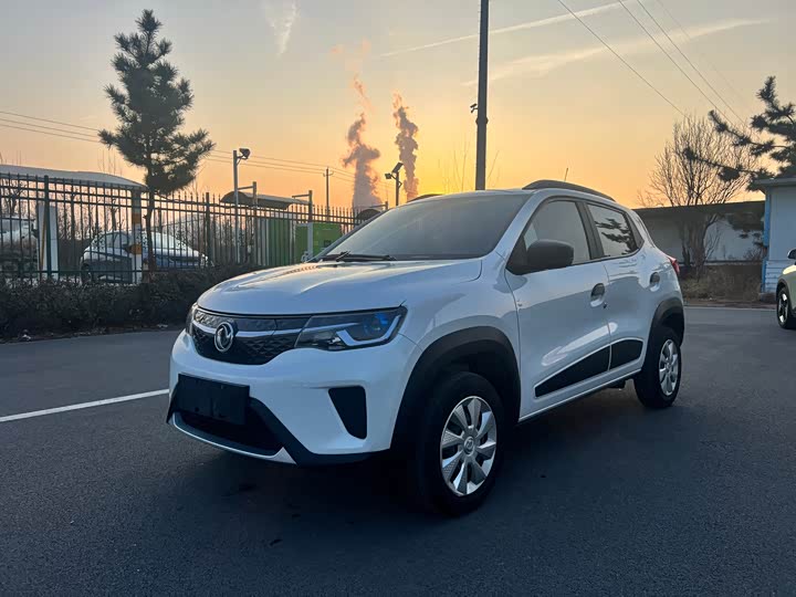 Фото 1 - Dongfeng Nammi Nano EX1 Pro