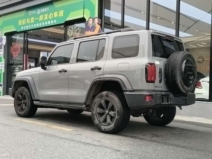 Фото 4 - Tank 300