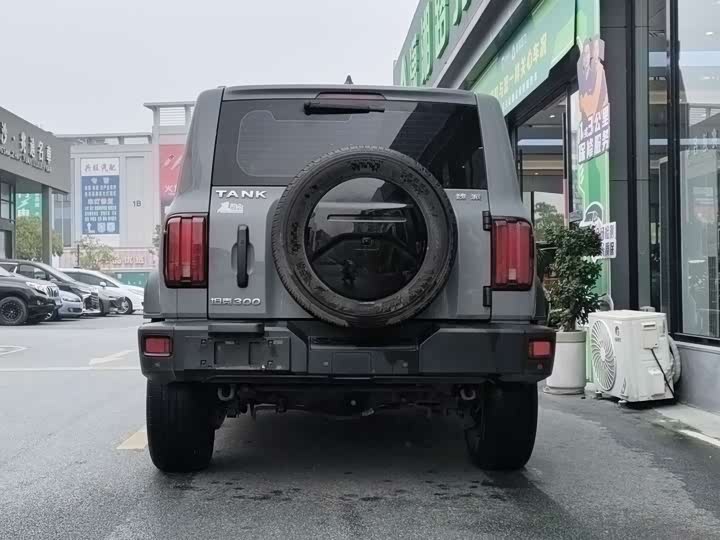 Фото 6 - Tank 300