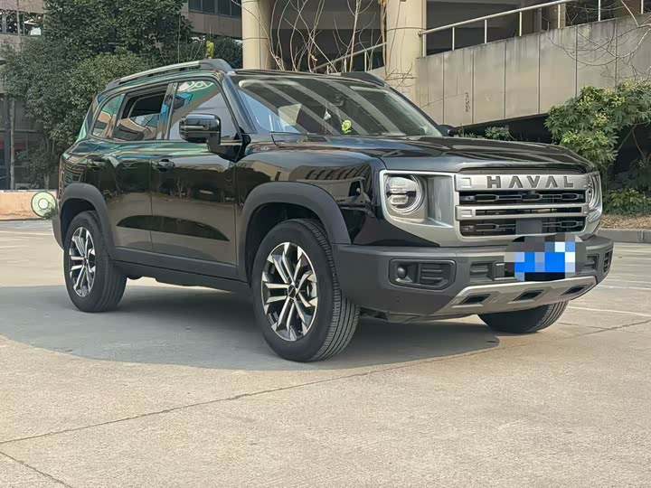 Фото 4 - Haval Dargo