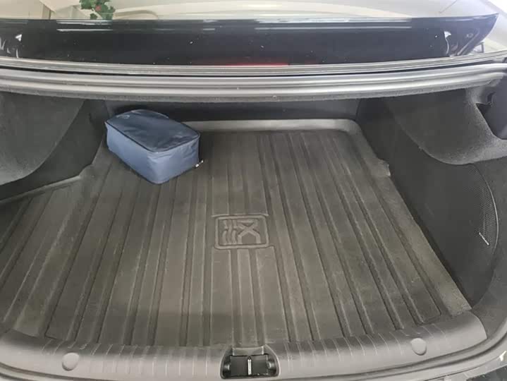 Фото 4 - BYD Han