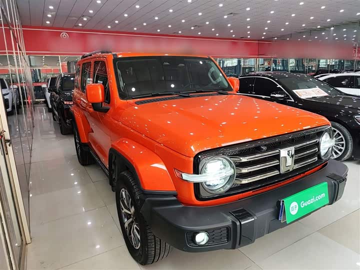 Фото 4 - Tank 300