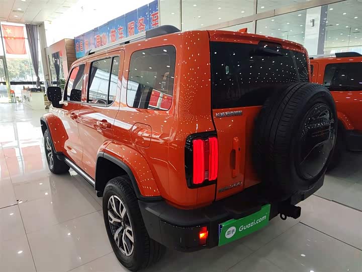 Фото 5 - Tank 300