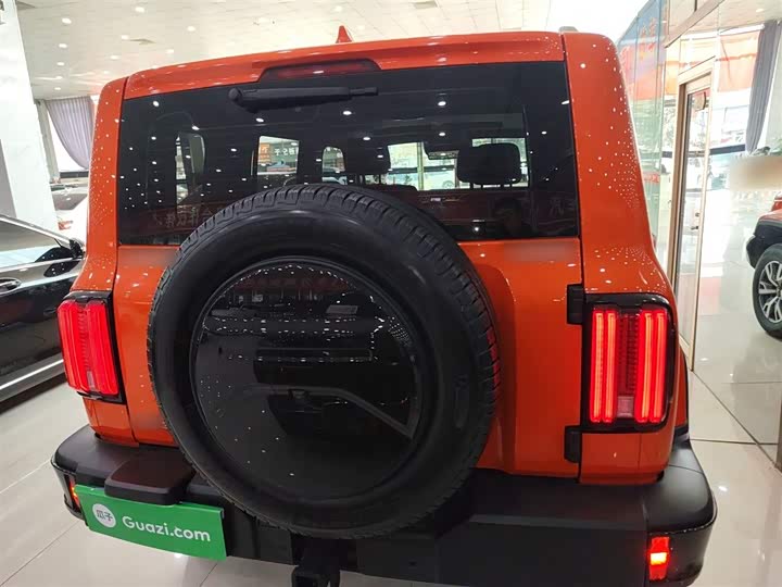 Фото 6 - Tank 300