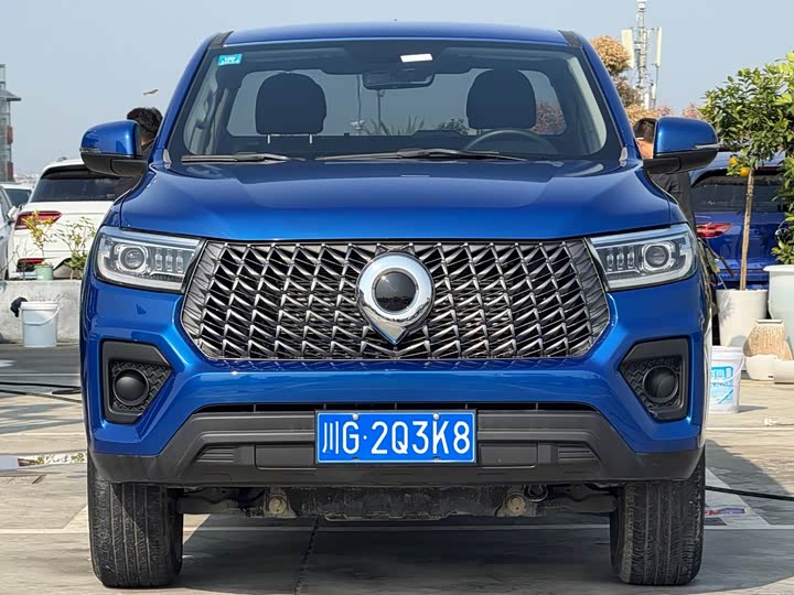 Фото 2 - Great Wall Pao