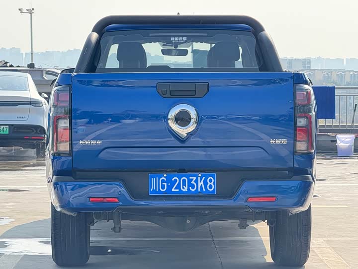 Фото 3 - Great Wall Pao