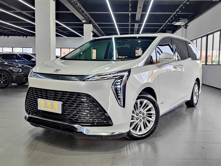 Фото 1 - Buick GL8 Century