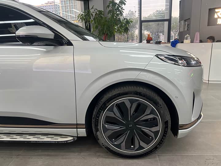 Фото 8 - Dongfeng Yipai eπ 008