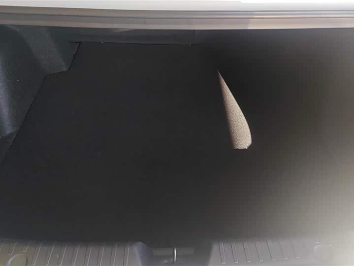 Фото 4 - Changan Eado Plus