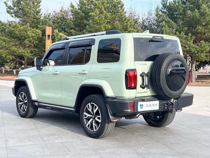 Фото 9 - Tank 300