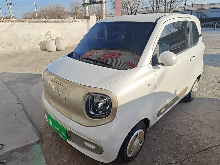 Фото 1 - Bestune Pony