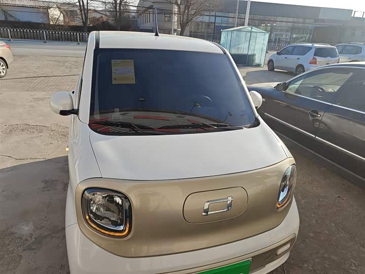 Фото 3 - Bestune Pony