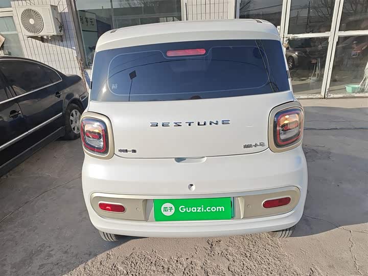 Фото 6 - Bestune Pony