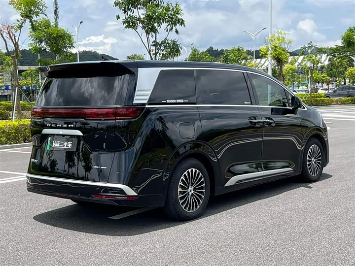 Фото 3 - Denza D9