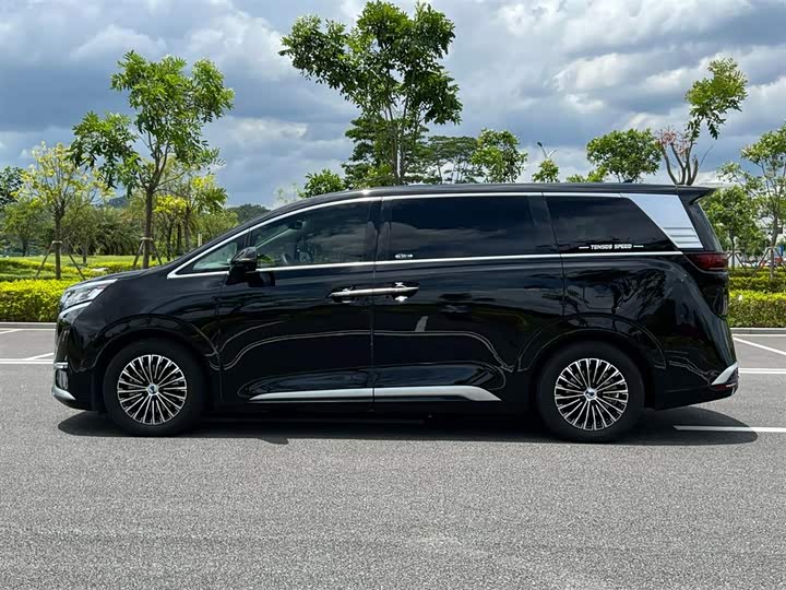 Фото 4 - Denza D9