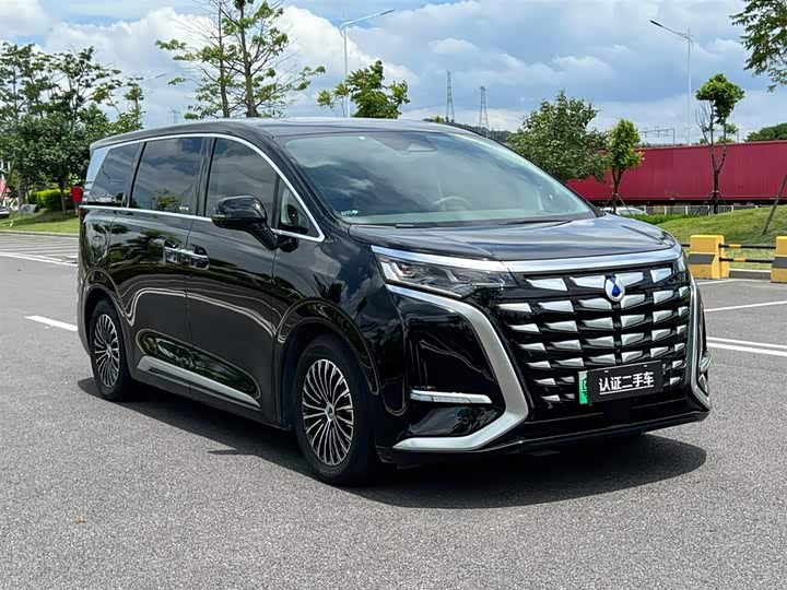 Фото 6 - Denza D9