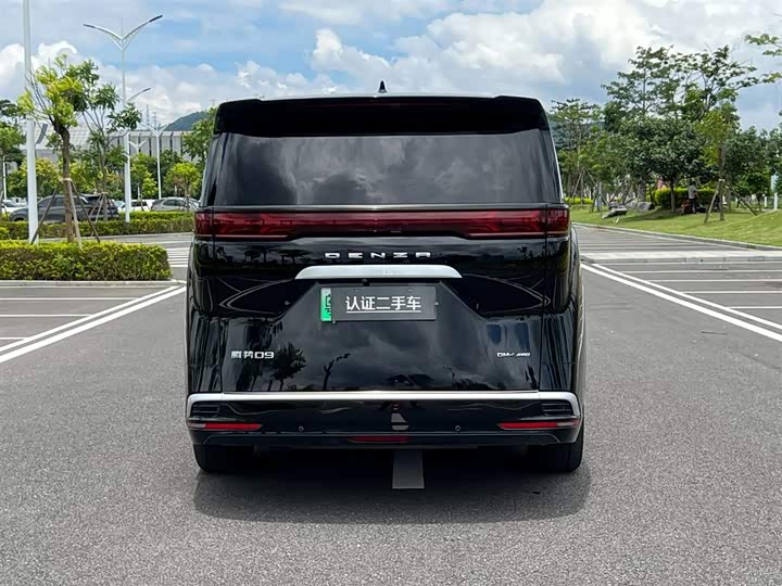 Фото 8 - Denza D9