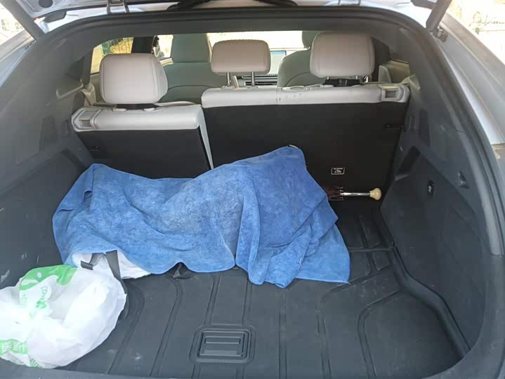 Фото 4 - XPeng G6