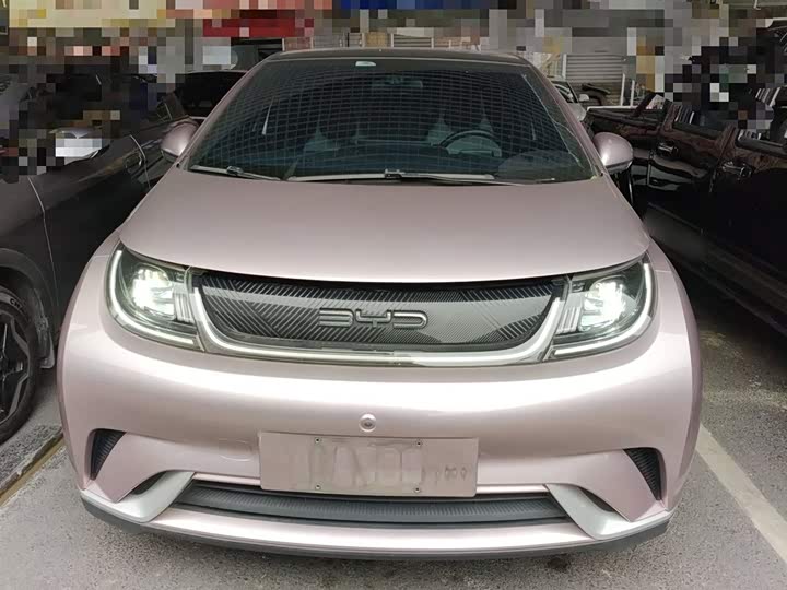 Фото 3 - BYD Dolphin