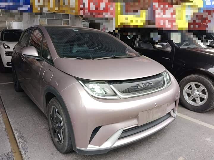 Фото 4 - BYD Dolphin