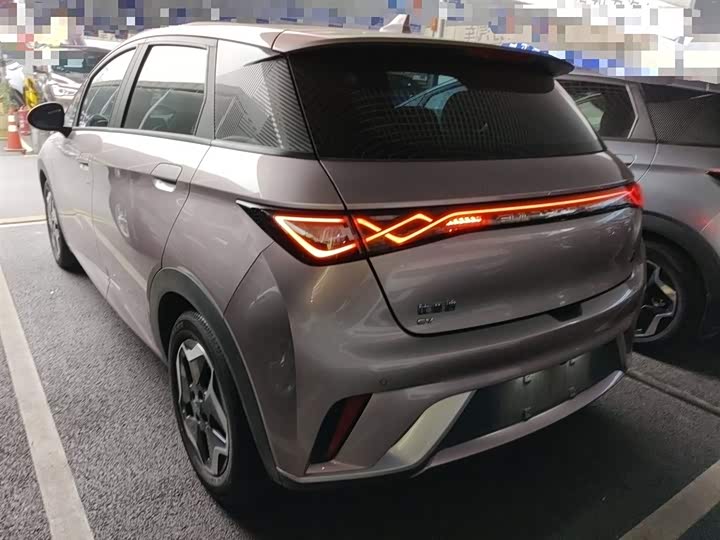 Фото 5 - BYD Dolphin