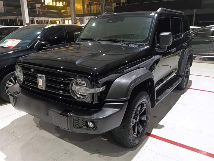 Фото 2 - Tank 300