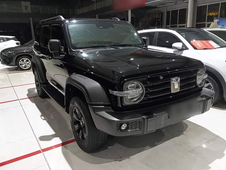 Фото 4 - Tank 300