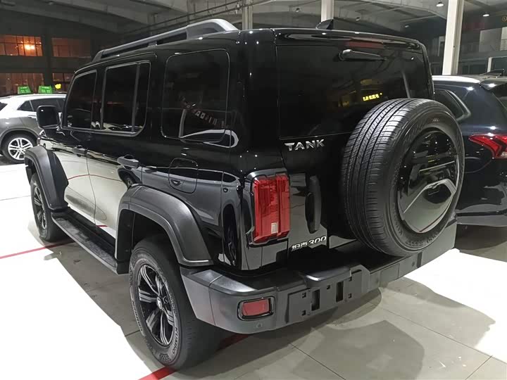 Фото 5 - Tank 300