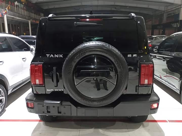 Фото 6 - Tank 300