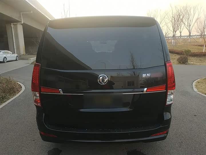 Фото 6 - Dongfeng Forthing Lingzhi Plus