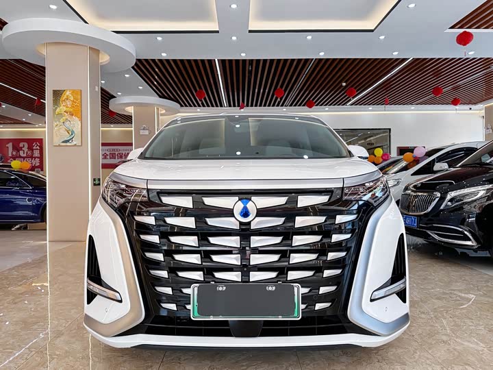 Фото 2 - Denza D9