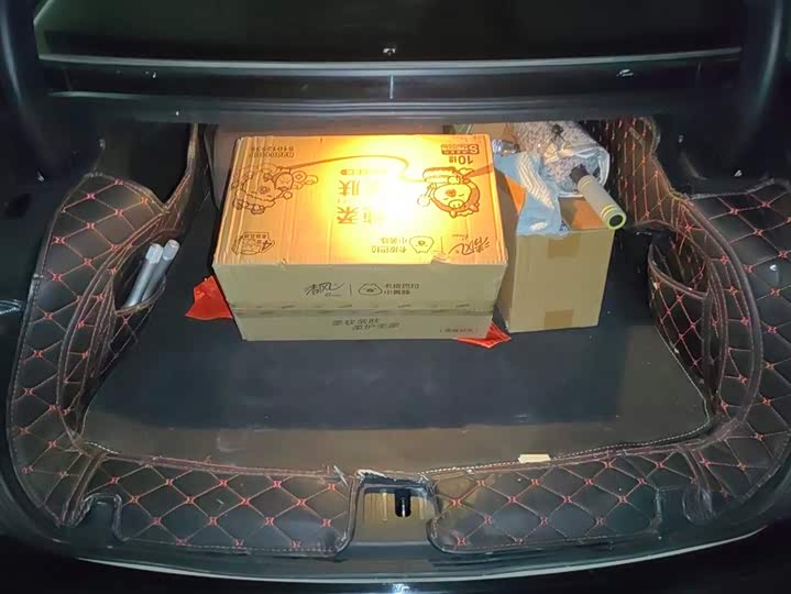 Фото 4 - Hongqi H9