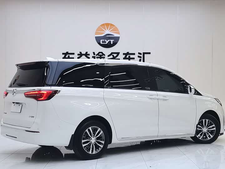 Фото 5 - Buick GL8 ES