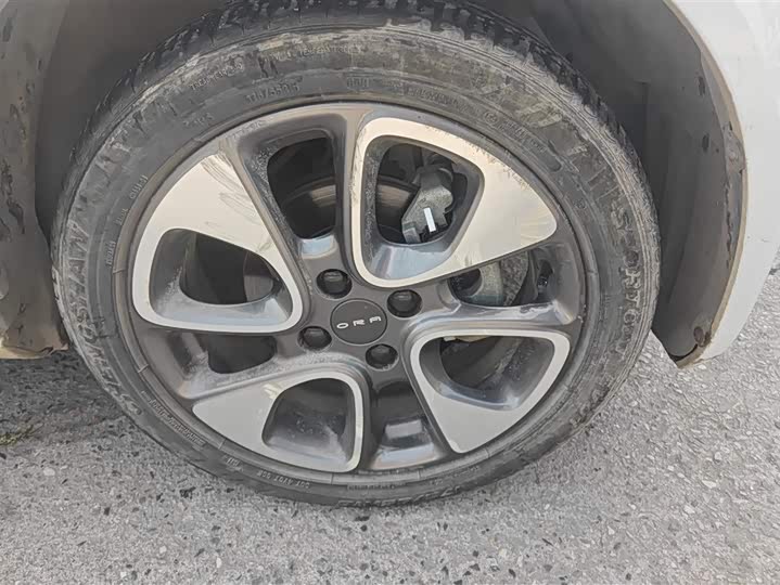 Фото 6 - Ora White Cat