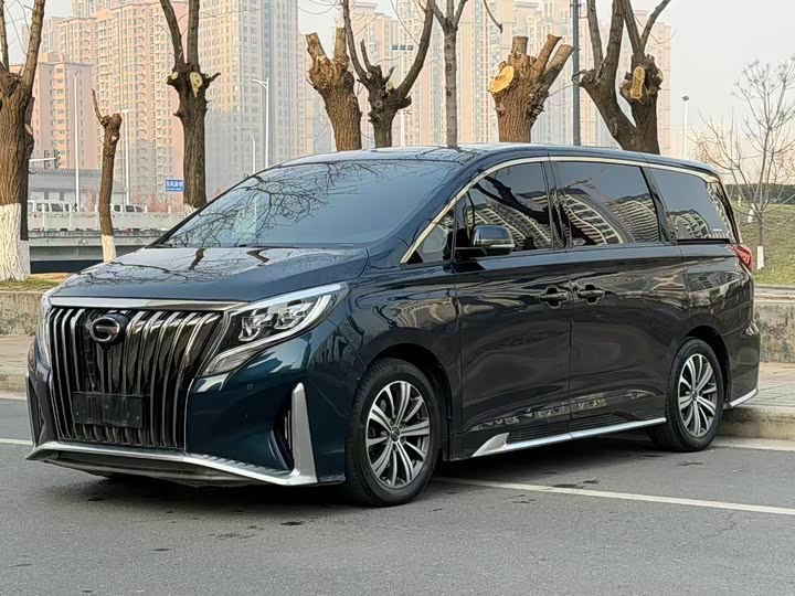 Фото 1 - GAC Trumpchi M8